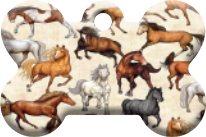 Caballos_03